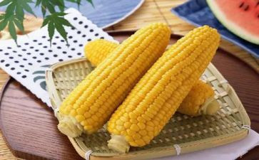 玉米种购销合同8篇