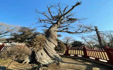 晋祠活动策划通用7篇