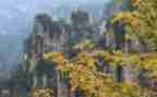 乡春景色作文200字7篇