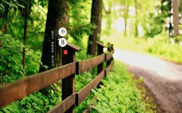 节气歌幼儿园教案最新5篇