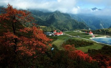 旅游景区工作总结范文5篇