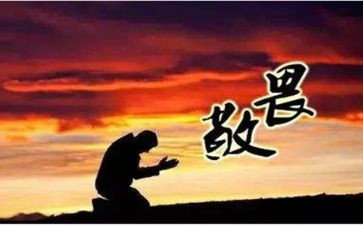 知敬畏的作文5篇