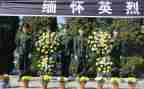 清明祭英烈活动心得7篇