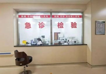 急诊护士的述职报告6篇