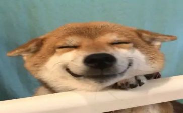 开心暑假作文7篇