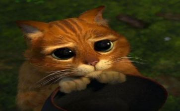 可怜的鱼作文8篇