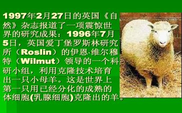 克隆观后感7篇