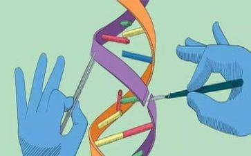 科学活动总结5篇
