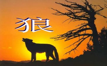 七年级语文《狼》教案精选7篇