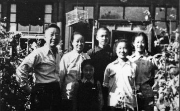 老舍鸡教案5篇