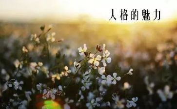 语言的魅力的演讲稿8篇