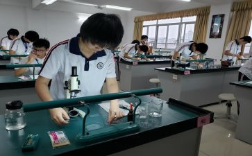 高中理化生教研组工作计划5篇