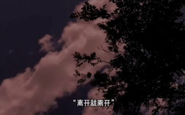 我不能离开你作文5篇