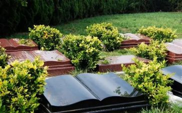 烈士陵园清明活动方案7篇