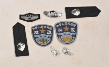 林政工作总结7篇