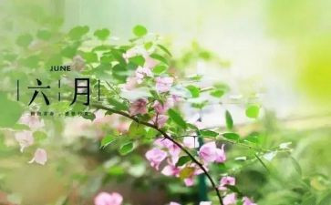 幼儿园六月份工作计划大班8篇