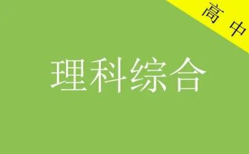 理综组工作总结5篇