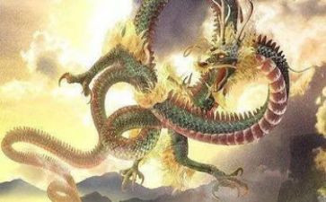 乌龙溪作文7篇