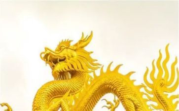 接龙的教案8篇