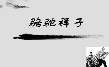 骆驼翔子读后感精选5篇