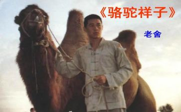 骆驼翔子读后感8篇