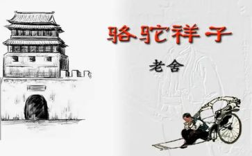 骆驼祥子4心得体会精选5篇