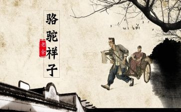 骆驼读后感100字7篇