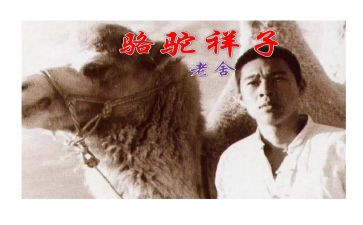 骆驼读后感300字6篇