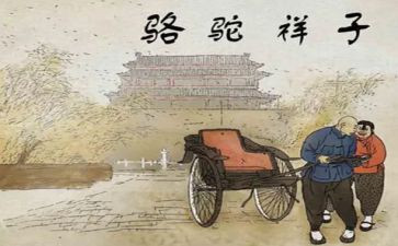 骆驼心得体会推荐7篇