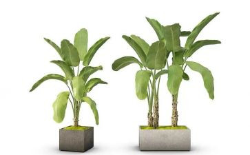 绿化组工作计划精选6篇