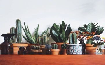 园林绿化股工作计划8篇