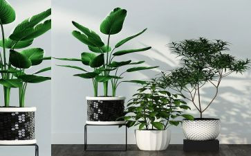 绿化周工作计划7篇