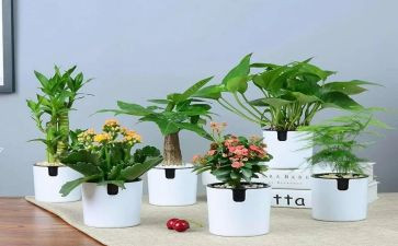 绿色学校工作计划6篇