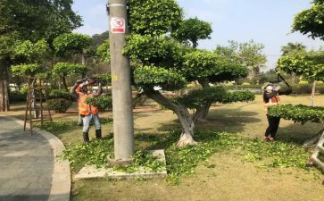 校园绿化工作计划5篇