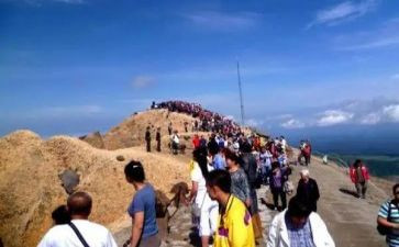 旅游业的调查报告7篇