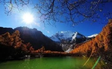 旅游月心得体会模板5篇