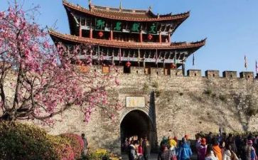 大班去旅游教案6篇