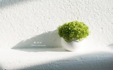 慢性性工作计划6篇