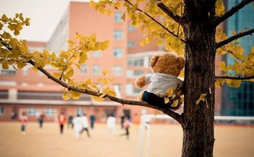 作文《群》满分作文8篇