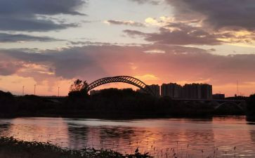 奶奶的忙碌作文6篇