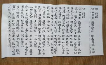 氓的读后感300字6篇