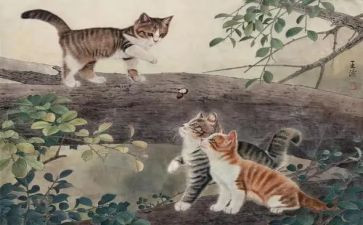 猫和鱼和老鼠的作文优秀8篇