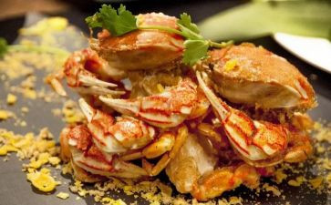 美食一演讲稿7篇