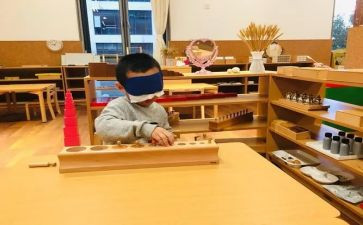 蒙氏工作计划范文模板5篇