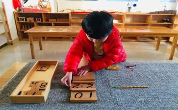 蒙氏班级月工作计划6篇
