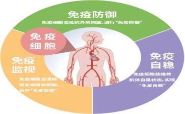 乡计划免疫工作计划8篇