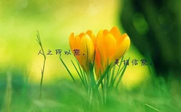 讲名人故事演讲稿通用7篇