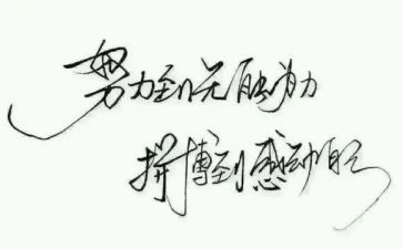 名人才工作计划6篇