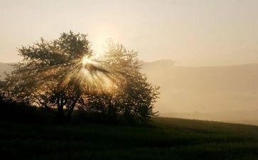掌握自己命运作文8篇
