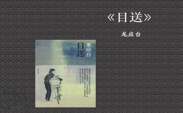 读目送的读后感推荐8篇
